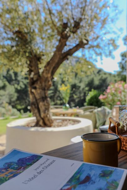 hotel_des_oiseaux_baux_de_provence (1 sur 1)-19 hotel_des_oiseaux_baux_de_provence (1 sur 1)-19